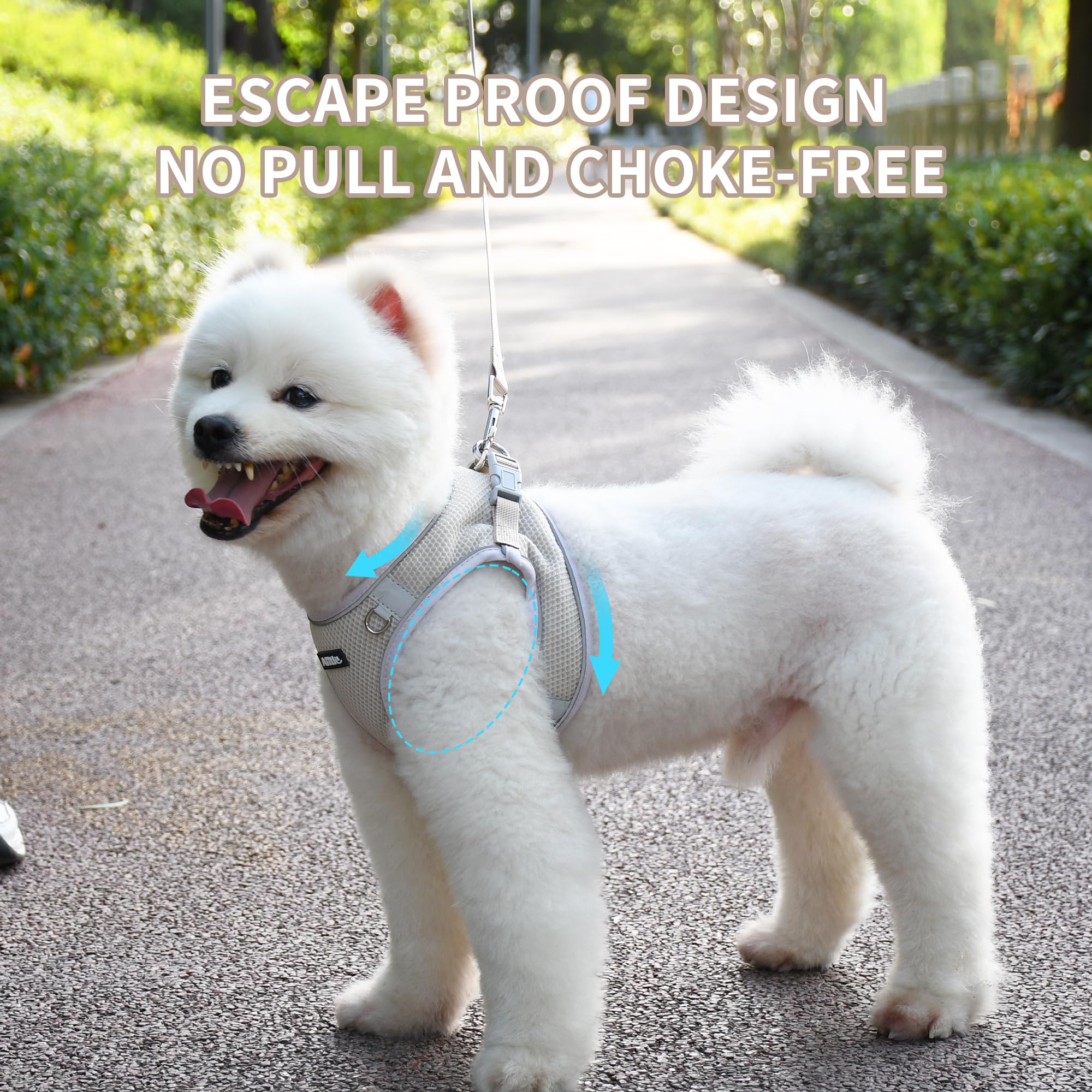 Aiitle Dog Harness And Leash Set, No Pull Step In Puppy Harness With Super Breathable Mesh, Reflective Puppy Essentials For Outd